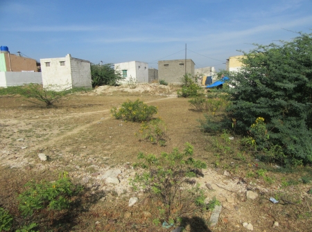 100 Ankanams Plot for Sale in Near Vedanthapuram, Tirupati